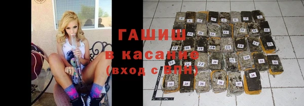 прущие грибы Волоколамск