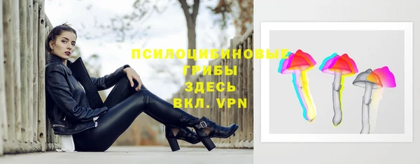 ешки Верея