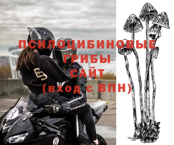 скорость Володарск
