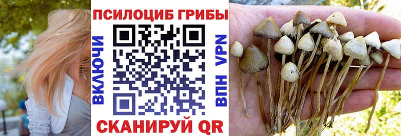 как найти наркотики  Вилючинск  Галлюциногенные грибы ЛСД 